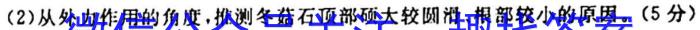 2024届 广东省高三5月联考(24-508C)地理试卷答案