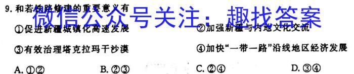 2024年广西三新学术联盟百校联考（5月）地理试卷答案