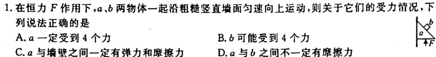 2024年普通高等学校全国统一模拟招生考试 高三10月联考(新未来)物理.