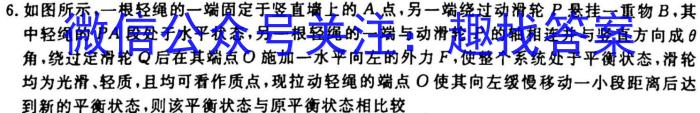 安徽省2023-2024学年度八年级阶段质量检测q物理