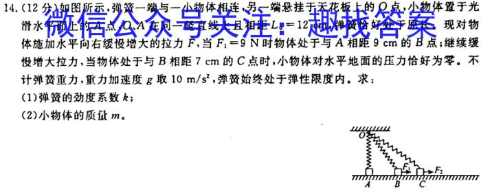 甘肃省2023~2024学年度高三第一学期第三次月考(24225C)物理试卷答案