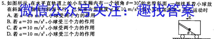 河北省2023-2024学年八年级第一学期第一次学情评估物理`