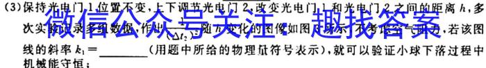2023-2024学年山东省高一"选科调考"第一次联考(箭头SD)q物理