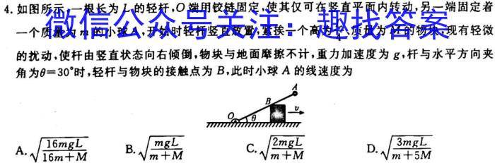 金科大联考·河北省2024届高三10月质量检测l物理