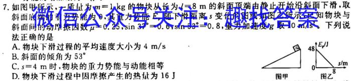 河南省九年级2023-2024学年度综合素养评估（一）【R-PGZX C HEN】q物理