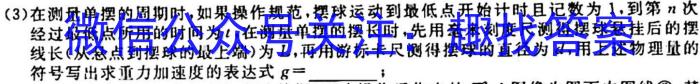 广东省2023~2024学年高二10月联考(24-74B)物理`