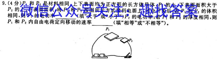 陕西省2023~2024学年度九年级教学素养测评(一) 1L R-SX物理`