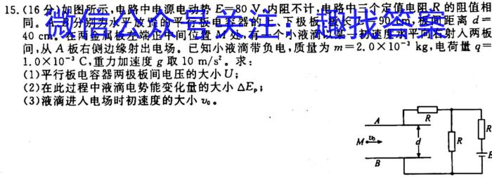 2023-2024学年高二试卷11月百万联考(人形图标)z物理