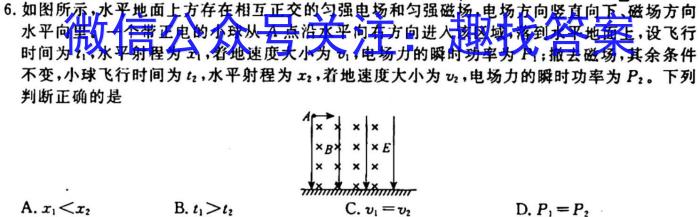 衡水金卷.先享题.分科综合卷 2024年普通高等学校招生全国统一考试模拟试题物理`