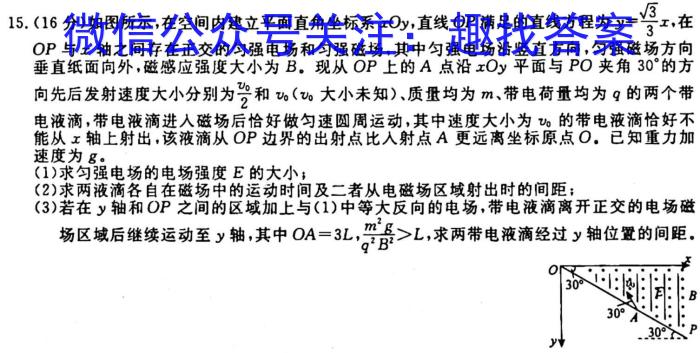 福建省部分达标学校2023-2024学年高三年级第一学期期中质量监测q物理