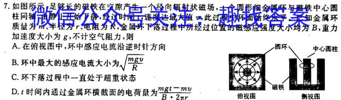 [今日更新]2024届北海市高三第一次模拟考试(24108C).物理