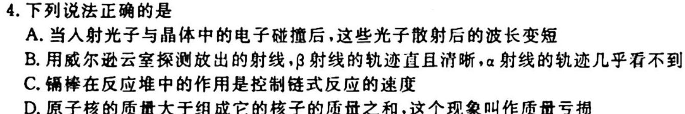 安徽省2023-2024学年度七年级阶段质量检测物理.