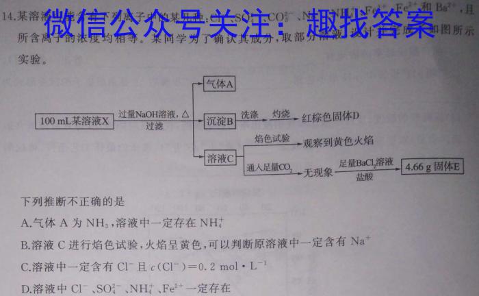 32023-2024学年洛阳强基联盟高二10月联考化学