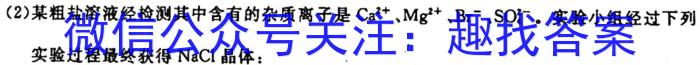 q河南省2024届九年级期中综合评估 2L R化学