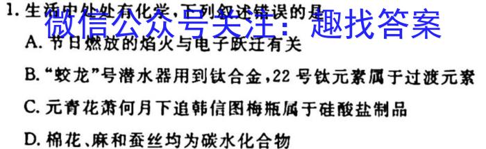 3江西省2024届九年级初中目标考点测评（十二）化学