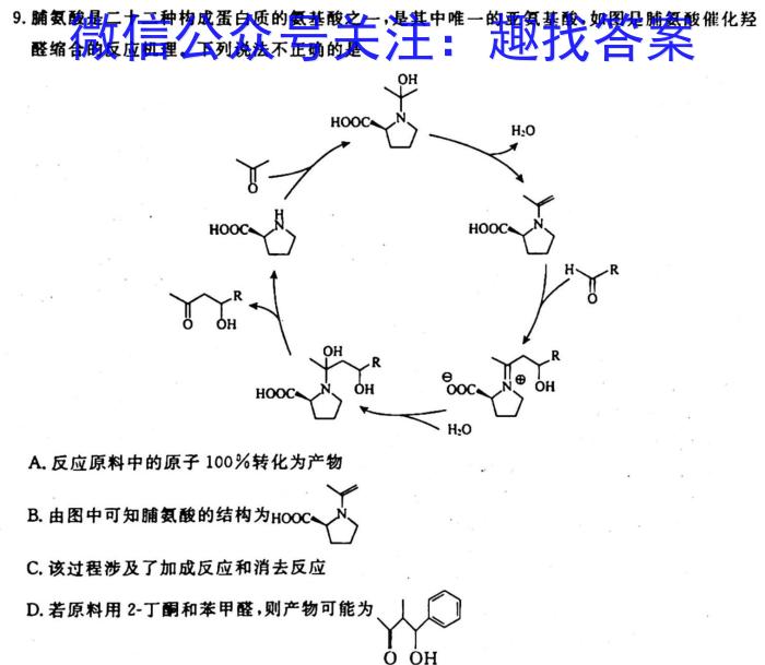 q安徽省2023-2024学年七年级上学期10月调研考试化学