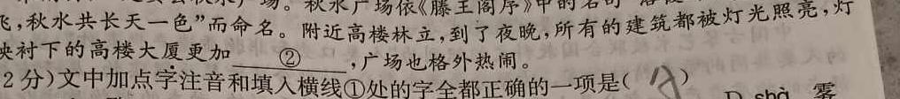 陕西省2023-2023学年度第一学期九年级期中检测（C）语文试卷 答案