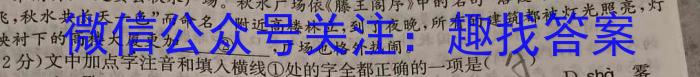 安徽省合肥市琥珀中学教育集团2024届九年级第一次质量调研检测语文