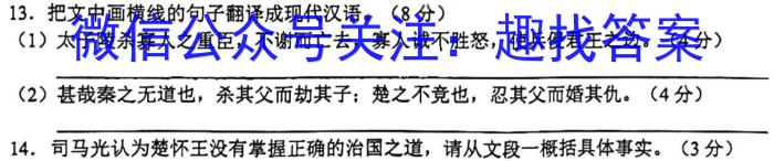 山西省2023-2024学年第一学期九年级期中质量监测试题（卷）语文