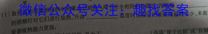 2024年衡水金卷先享题分科综合卷 新教材B(一)z物理