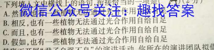 安徽省2023-2024学年度八年级教学质量检测（11.8）语文