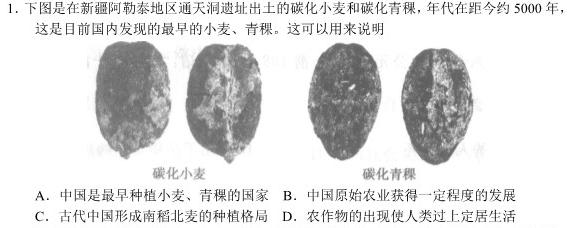 衡水金卷先享题2023-2024学年度高三一轮复习摸底测试卷摸底卷(江苏专版)一历史