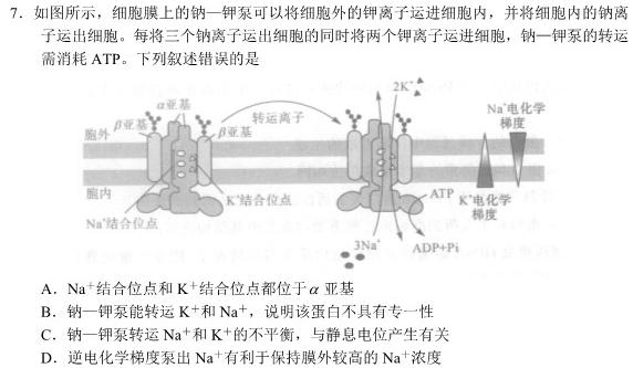 [吉林一模]吉林市普通高中2023-2024学年度高三年级第一次模拟考试生物