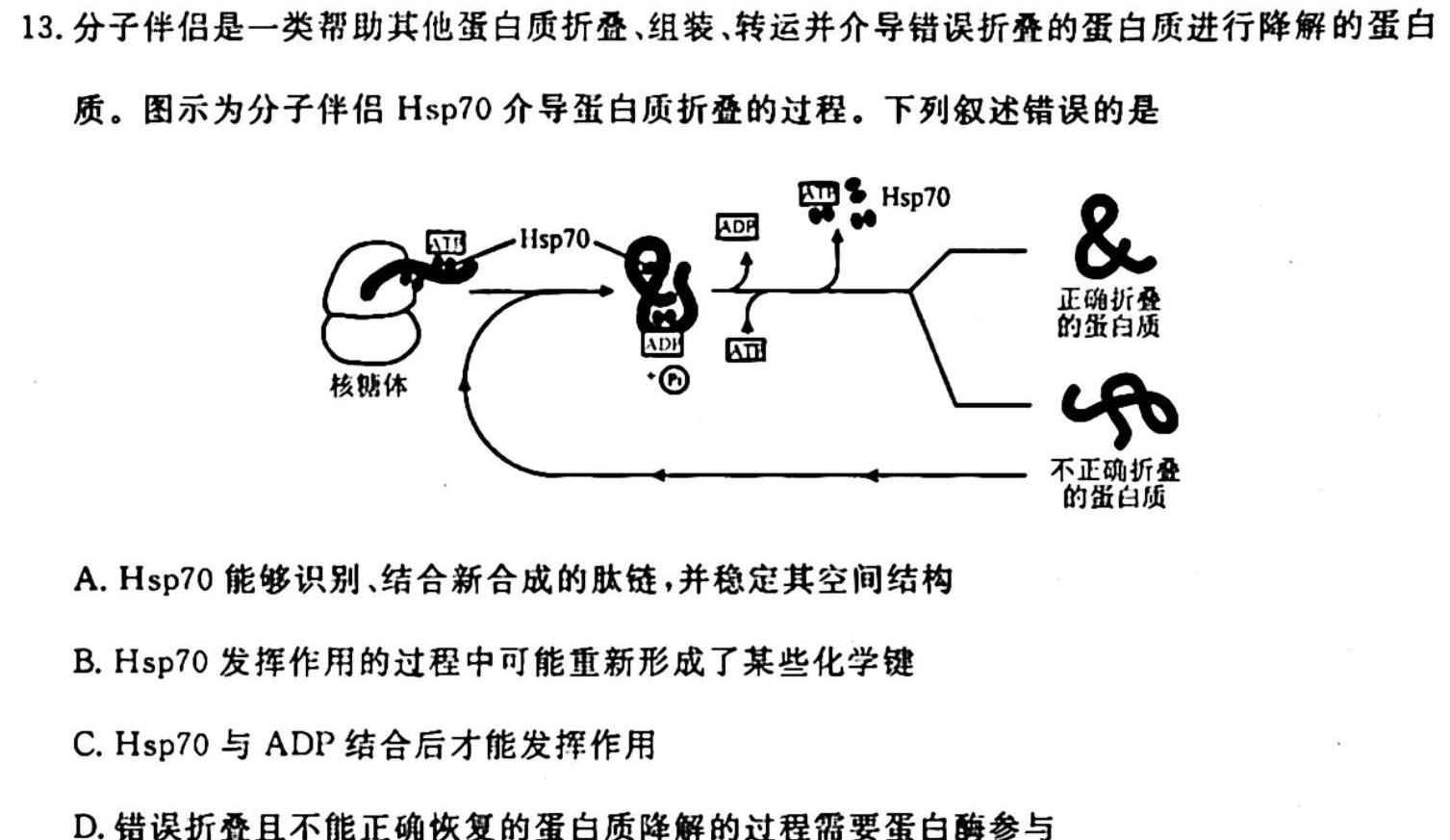 山西省2023-2024学年第一学期九年级期中学业水平质量监测生物