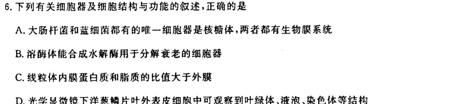 河南省2024届洛平许济四市高三年级10月联考生物