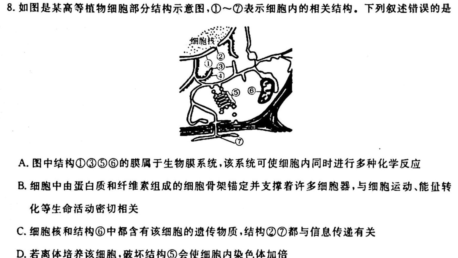 2023年宜荆荆随高二10月联考生物学试题答案