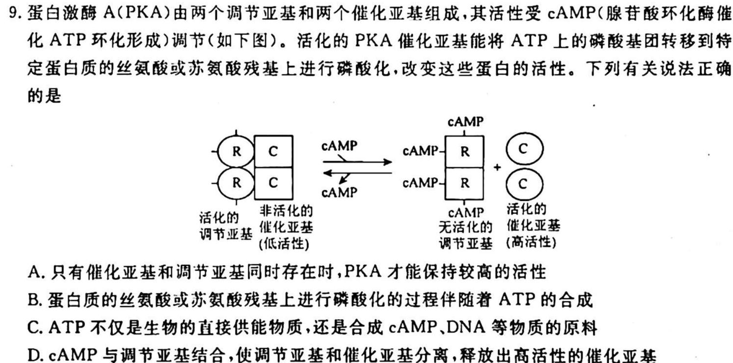 2024年衡水金卷先享题分科综合卷 新教材A(一)生物试卷答案