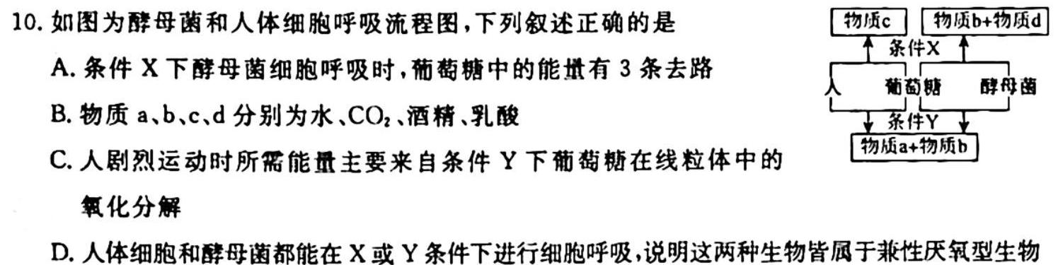 山西省2023-2024学年度第一学期初一素养形成期中测试生物