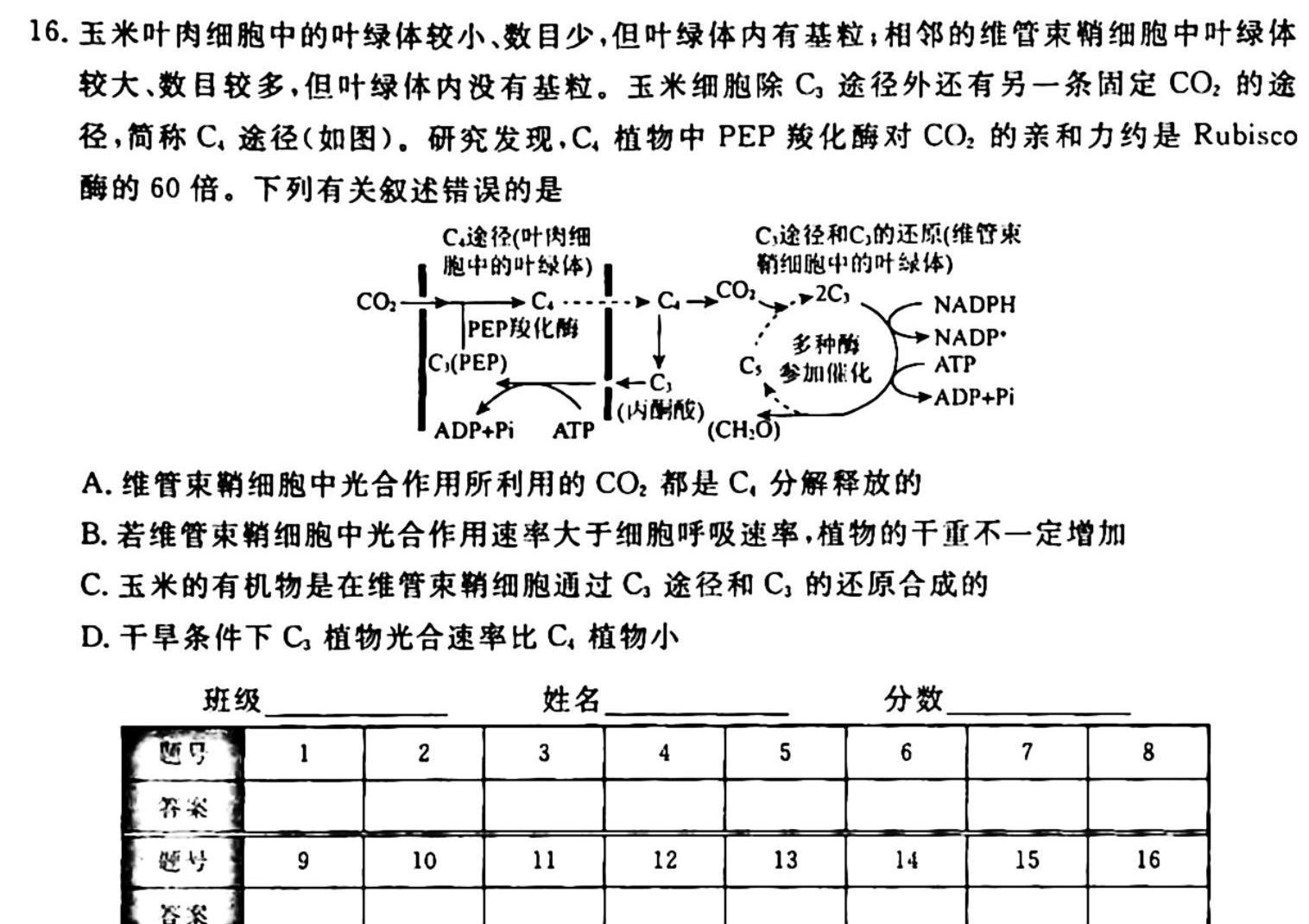 湘豫名校联考 2023年11月高三一轮复习诊断考试(二)生物