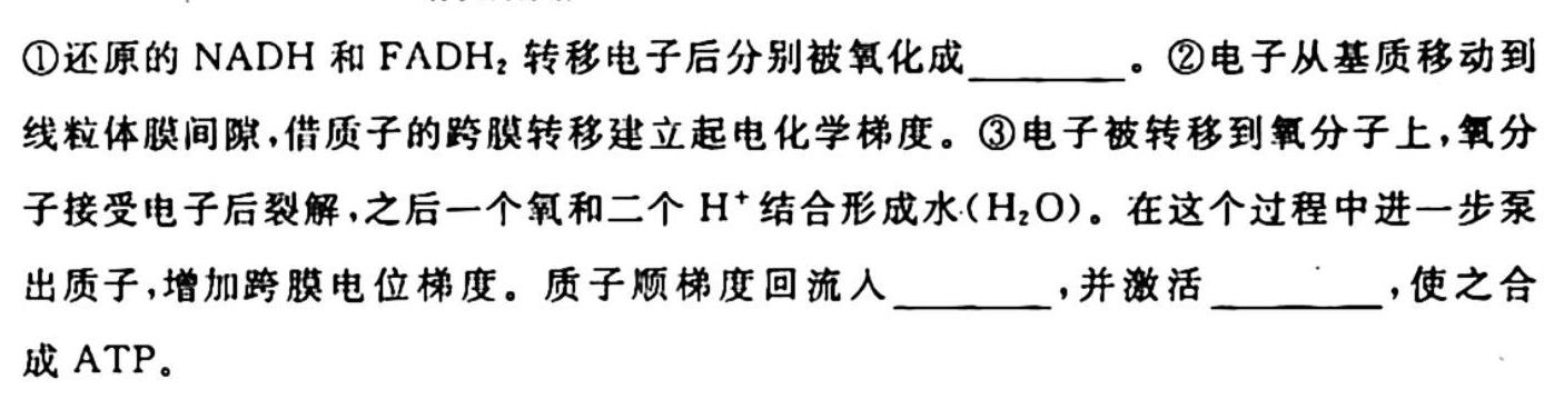 2024届全国名校高三单元检测示范卷(七)生物学试题答案