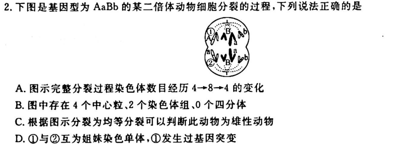 2024届广东省高三试卷10月联考(24-35C)生物