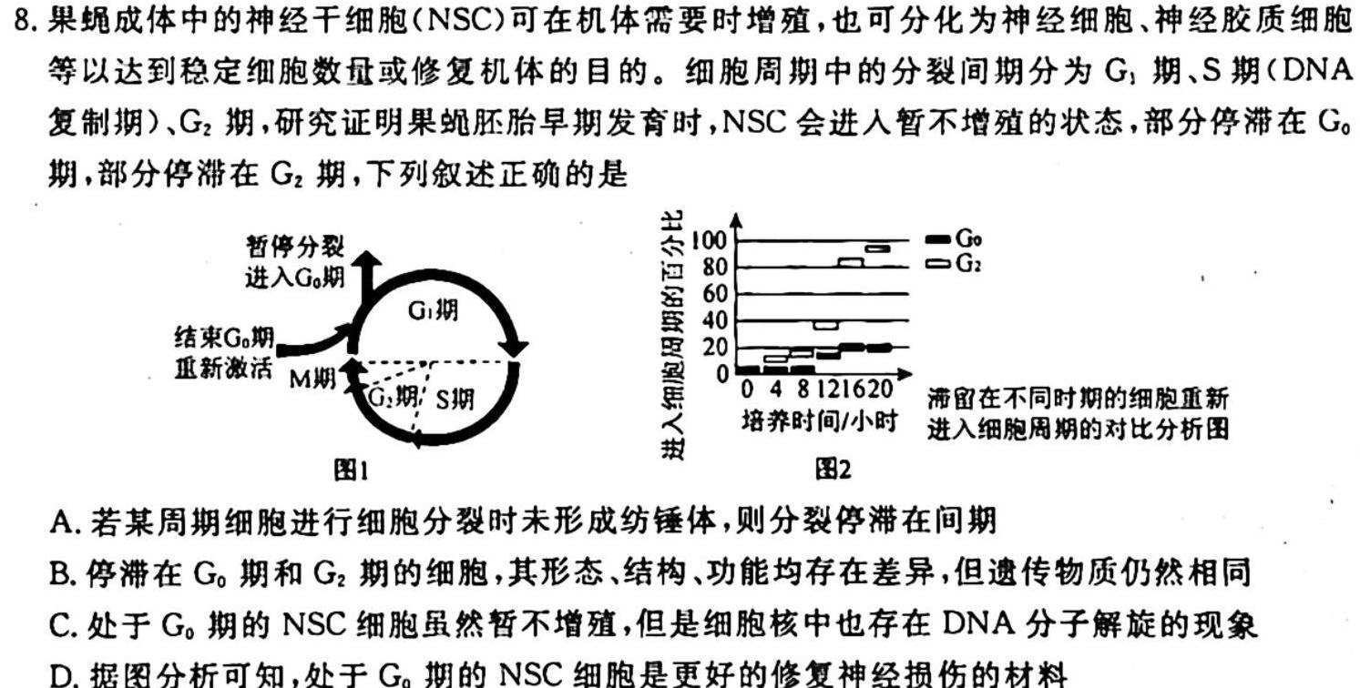 昆明市第一中学2024届高中新课标高三第三次双基检测生物试卷答案