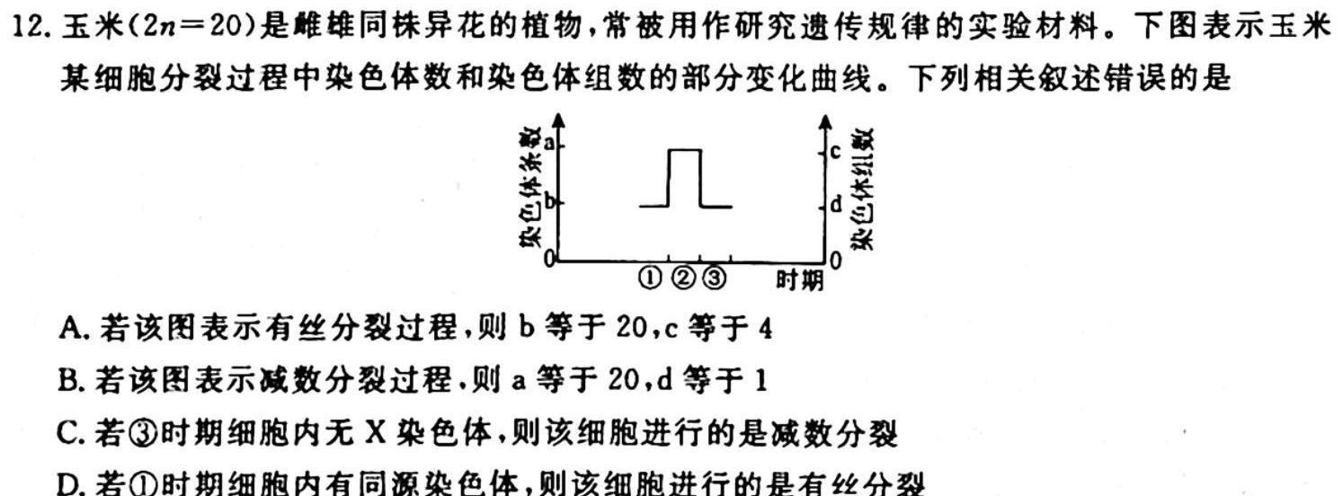 河南省2023-2024学年高中毕业班阶段性测试（二）生物