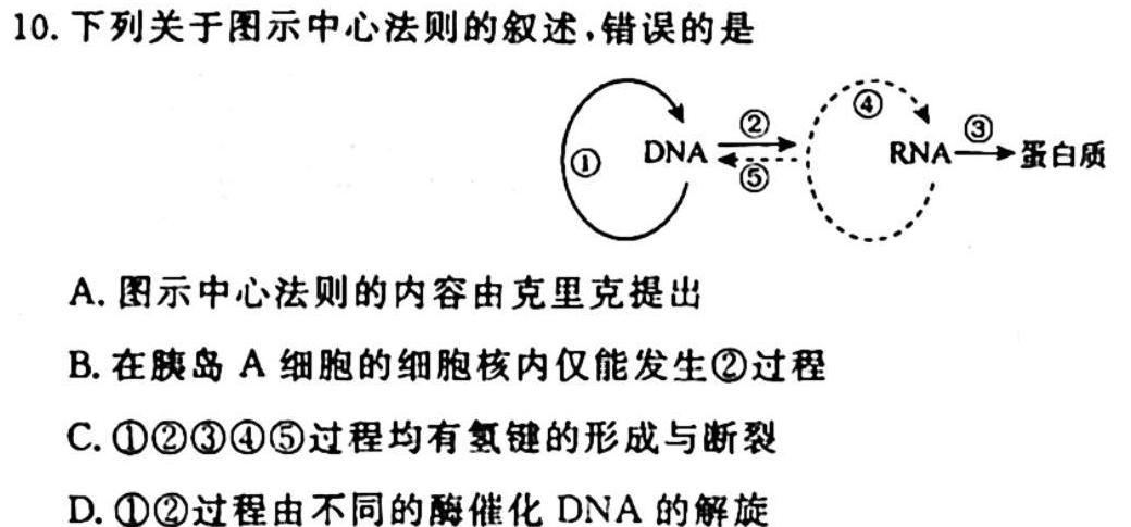 天一大联考2023-2024学年高二年级阶段性测试（一）生物