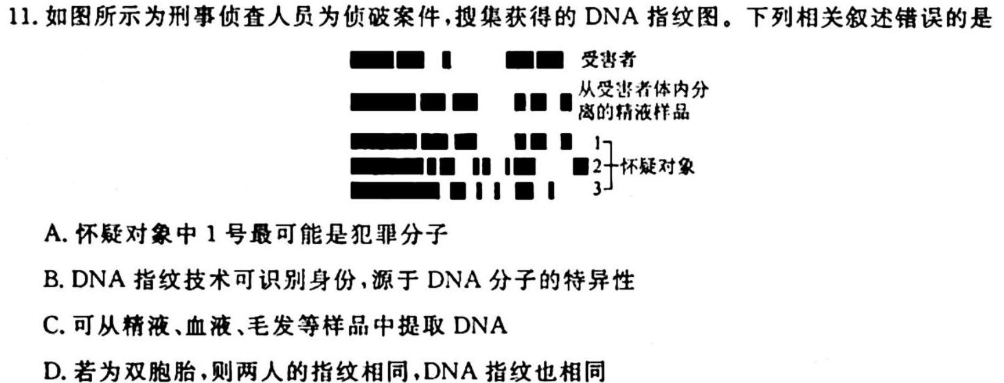 2023-2024学年度河北省高二上学期期中考试（11月）生物学试题答案