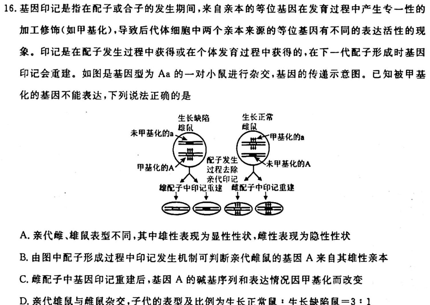 河南省南阳地区2024届高三年级期中热身模拟考考试卷（11月）生物