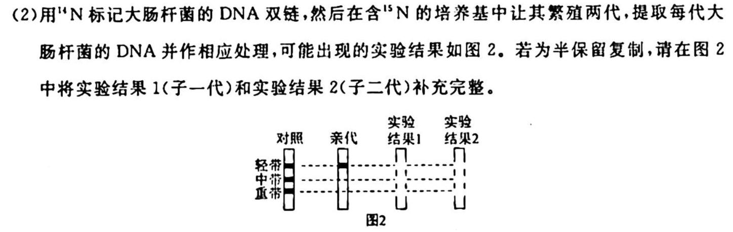 江淮名校·2023~2024学年上学期高一年级阶段联考(241136D)生物