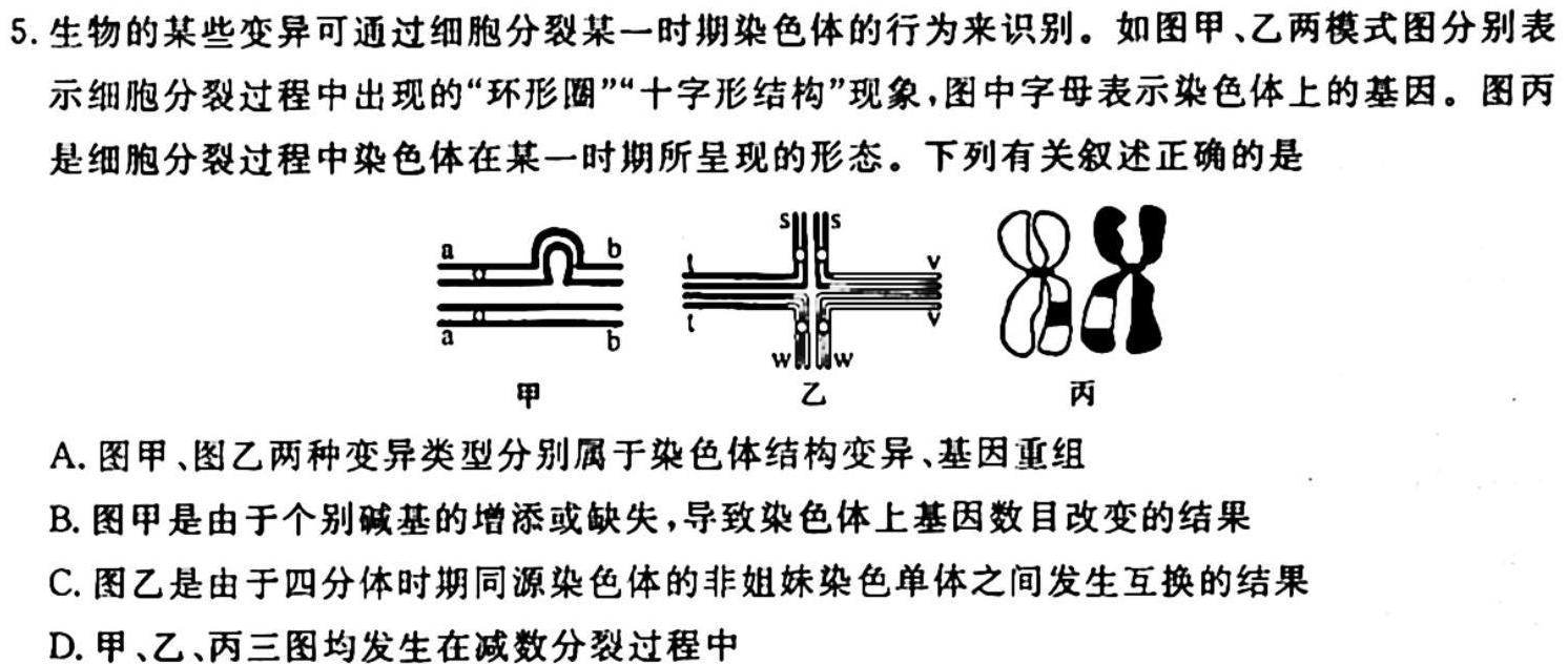 河北省高碑店市2023-2024学年度第一学期第一阶段性教学质量监测（初二）生物学试题答案