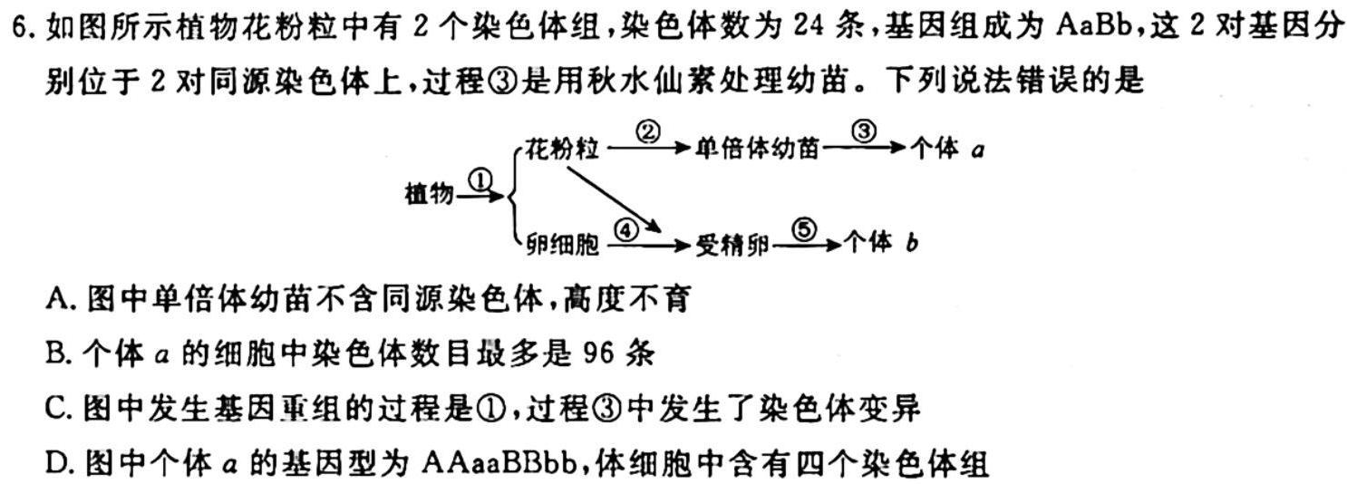 ［广东大联考］广东省2024届高三年级上学期11月联考生物