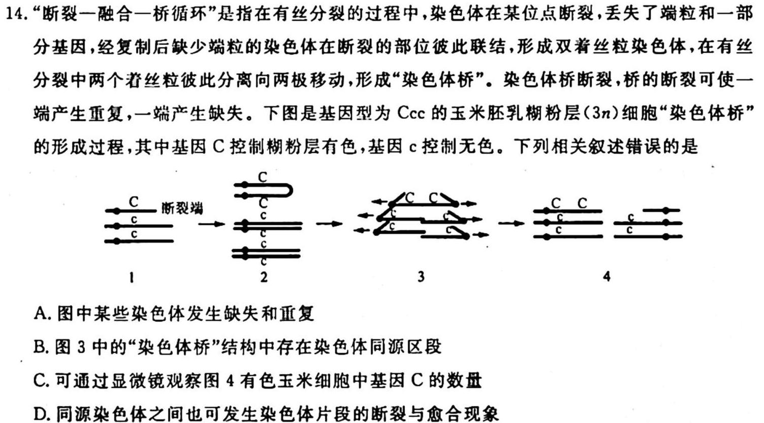 2023年广西三新学术联盟高二10月联考生物