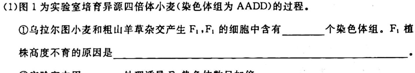 2024届陕西省高二10月联考(24-50B)生物