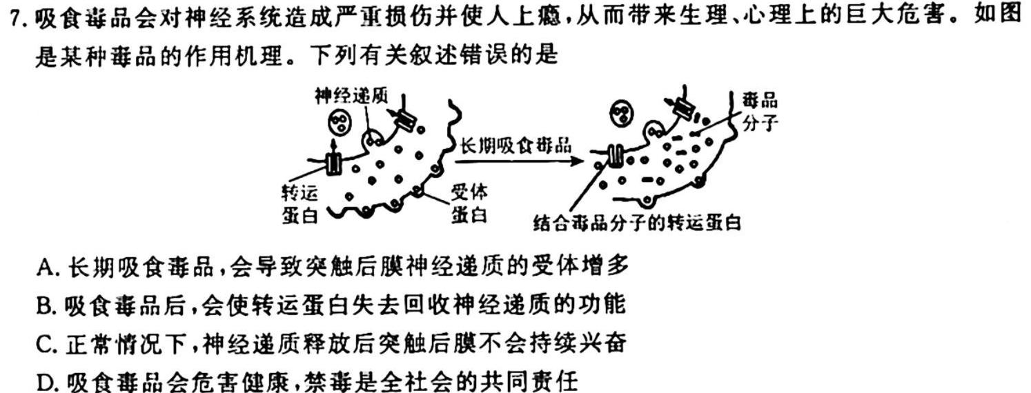 2023-2024学年山东省高一"选科调考"第一次联考(箭头SD)生物试卷答案