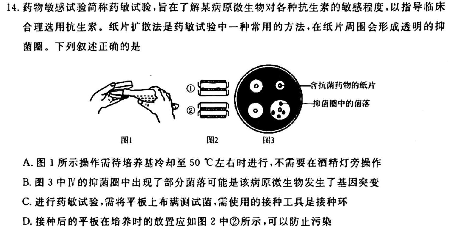 [长春一模]长春市2024届高三质量监测(一)生物学试题答案