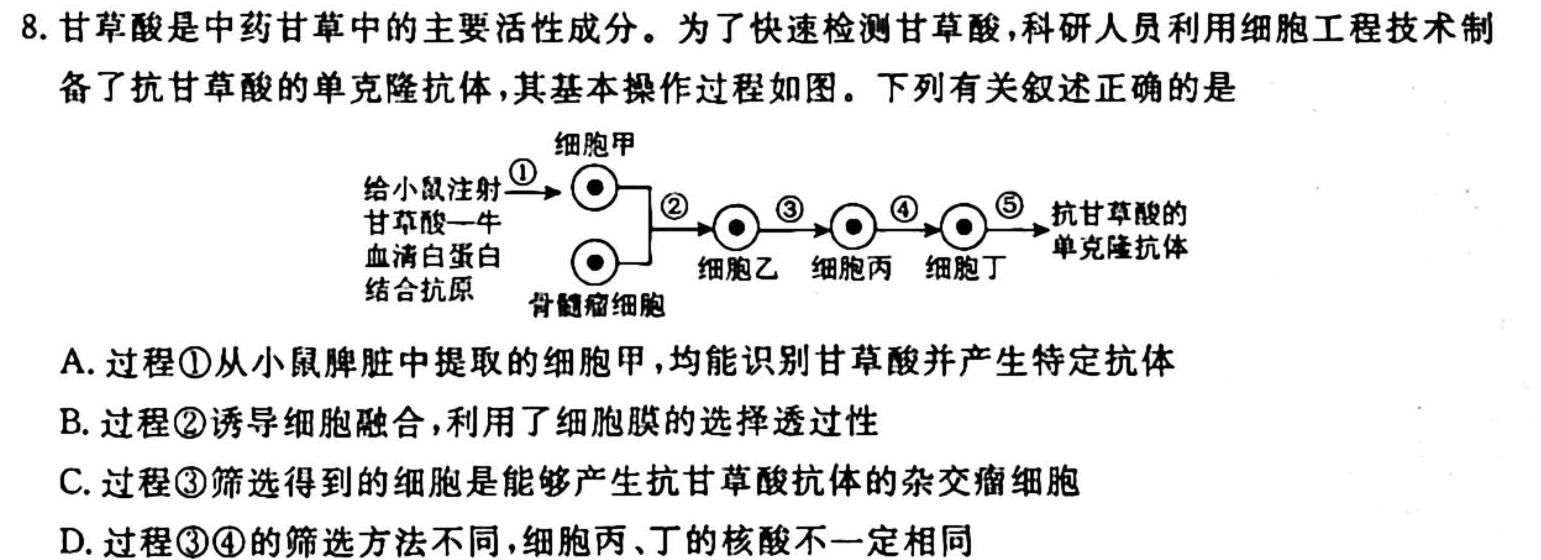 陕西省2023-2024学年高三年级10月联考生物学试题答案