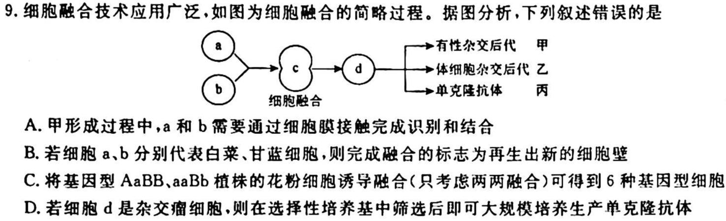 安徽省六安市某校2024届上学期初三阶段性目标检测（二）生物学试题答案