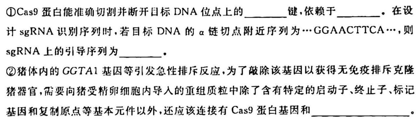 湘豫名校联考 2023-2024学年高二(上)10月阶段性考试生物试卷答案